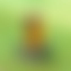 Image of a teen girl sitting on the grass on a sunny day | therapy for teens in new york, ny | therapy for teens in manhattan, ny | therapy for teens in brooklyn, ny | teen therapist | anxiety in teens | 10002 | 11201 | 11215