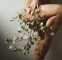 Image by Ava Sol