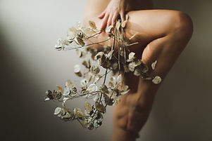 Image by Ava Sol