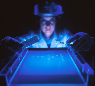 Image by National Cancer Institute