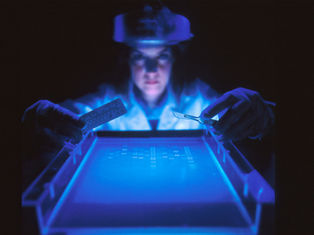 La inteligencia artificial redefine el futuro de la salud