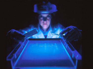 Image by National Cancer Institute