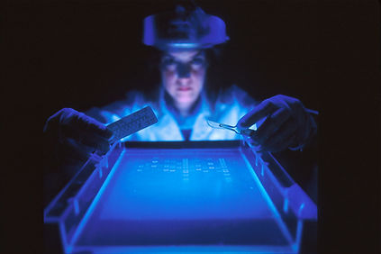 Image by National Cancer Institute