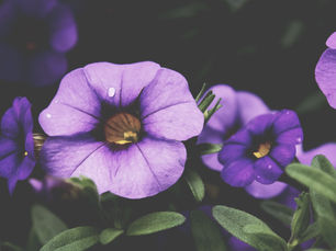 Colour Symbolism in Witchcraft