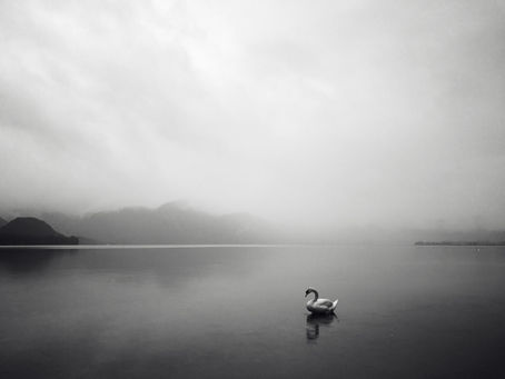 A swan in a calm still lake with clouds and mountains off in the background