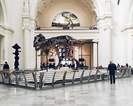 Image by Chris Nguyen