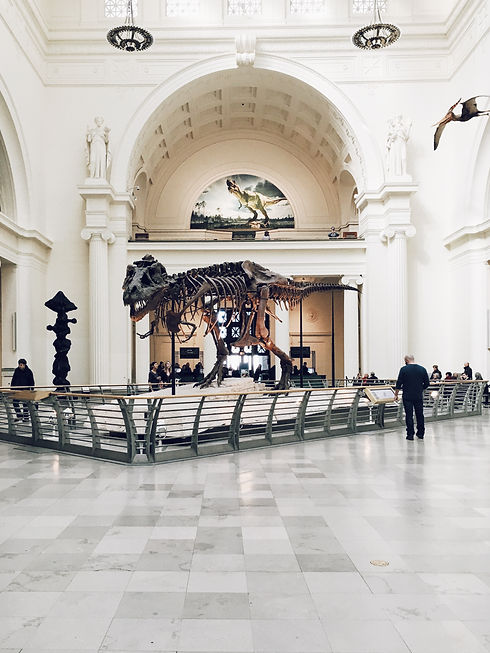 Image by Chris Nguyen