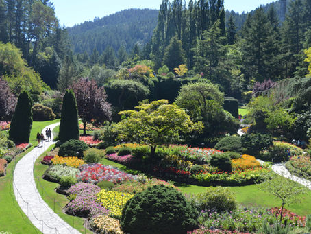 Discover Victoria, British Columbia: A Year-Round Destination