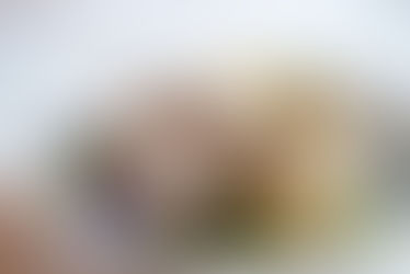 Asor, la naissance d'un tangle