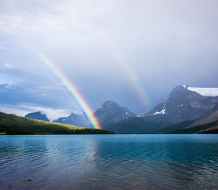 Image by David Brooke Martin