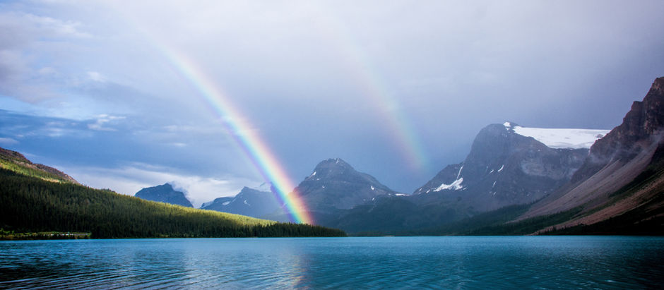 TALKING TREES & SURPRISE RAINBOWS