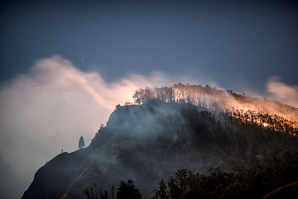 Image by Tobias Seidl