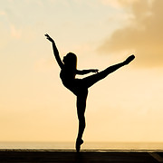 Platinum Gymnastics LLC logo