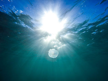 Image by Jeremy Bishop