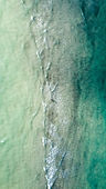 Image by Willian Justen de Vasconcellos