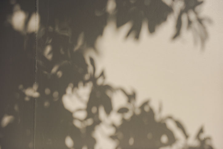 Image by Suhyeon Choi