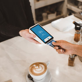 OFFER:Ready-made payment solution with License