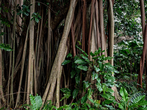 The Ultimate Cleansing: Melukat Ceremony