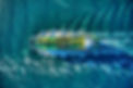 Image by Venti Views