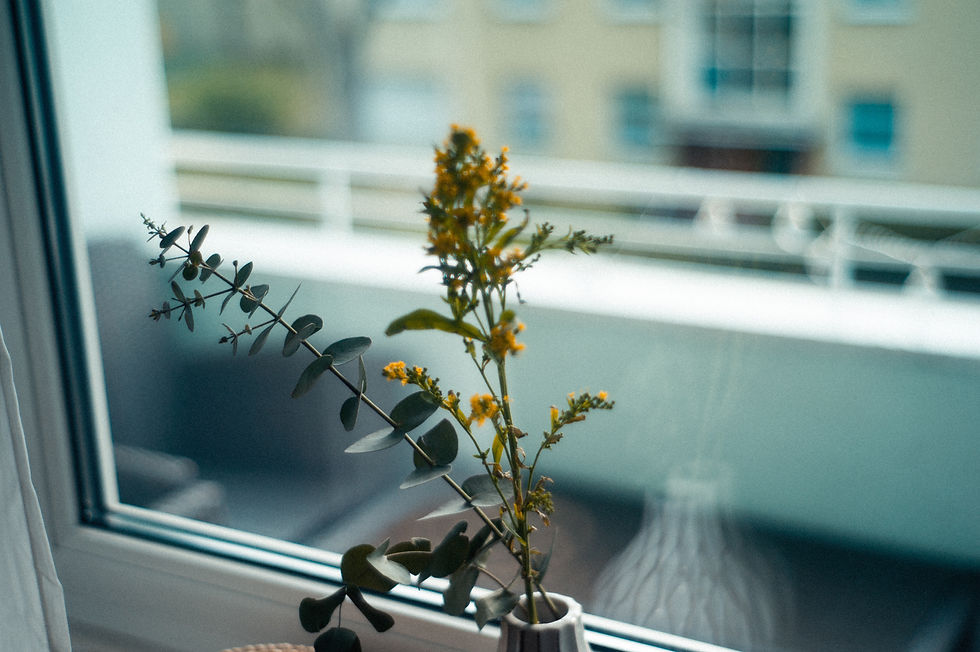 Ikebana arranges plants in a triad to symbolize three planes of existence: heaven, earth, and humanity.