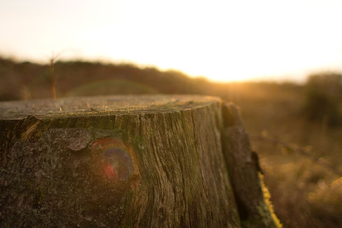 Image by Oisin Conolly