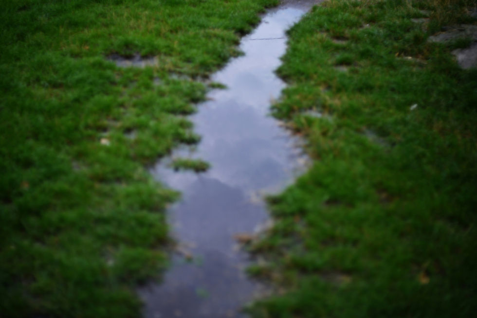Top 5 Common Mistakes in Stormwater Management and How to Fix Them