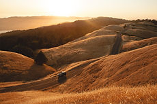 Image by Nick Jio