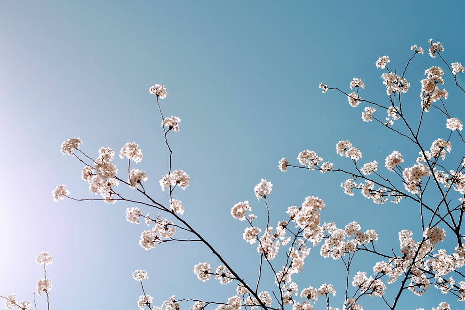 Image by Tim Gouw