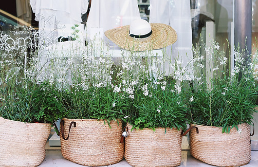 PANIERS RONDS PLANTES