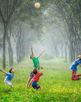 Image by Robert Collins