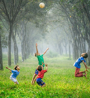 Image by Robert Collins