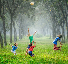 Image by Robert Collins