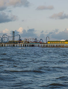 Galveston Bee Removal