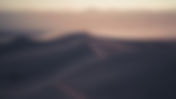 What Factors Should and Should Not Drive Digital Modernization