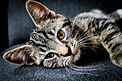 Image by Erik-Jan Leusink