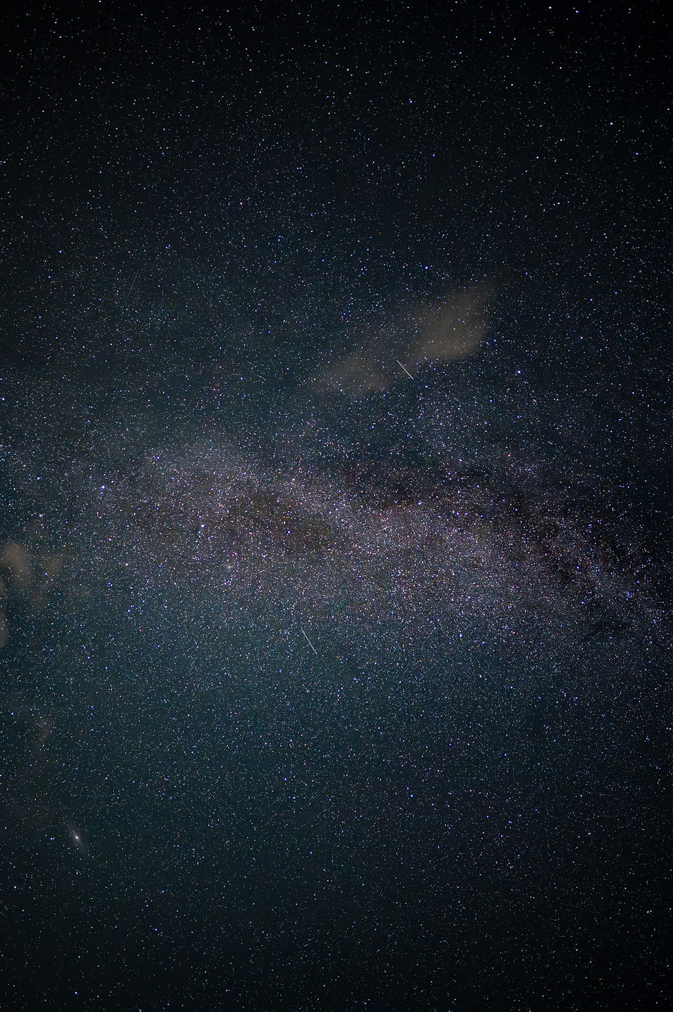 Image by Luca Severin