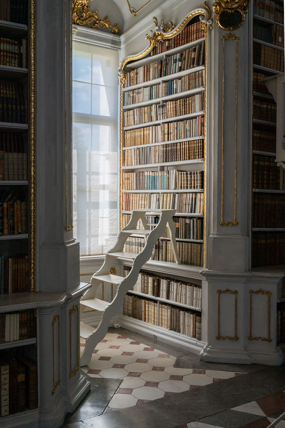 Photo of a bookcase and bookcase ladder at the Admont Abbey Library.