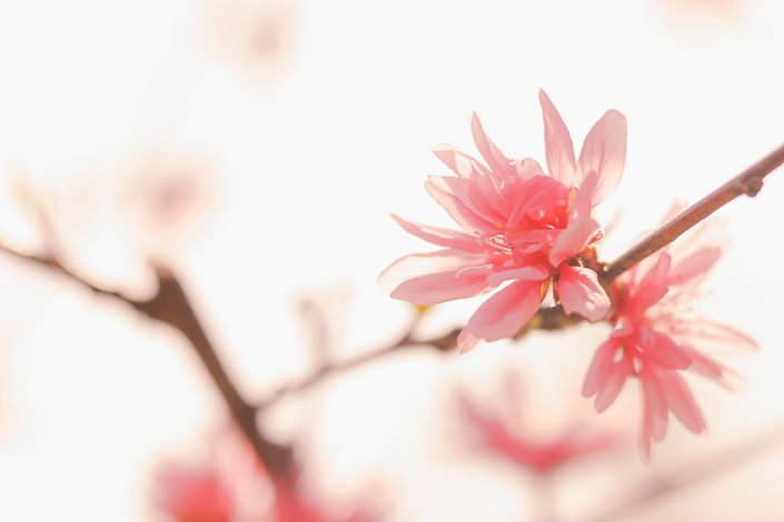 Image by J Lee
