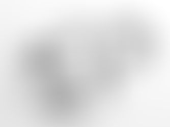 Mastering Plot Twists: How Successful Fiction Keeps Readers Hooked