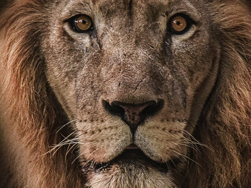HOROSCOPES & AFFIRMATIONS FOR AIRSIGNS OCTOBER 19TH 2022- OCTOBER 25TH 2022. UPCOMING WEEK.