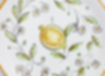 Citrus dinner plate