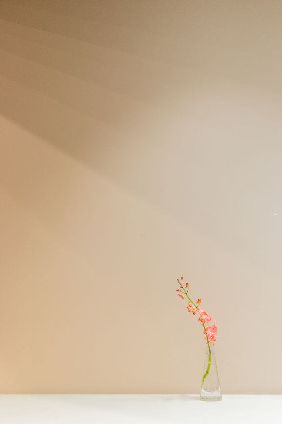 Image by Mitchell Luo