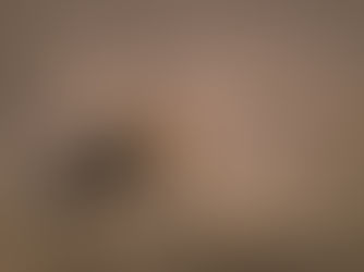 A tan-brown-orange shell on a sandy beach.