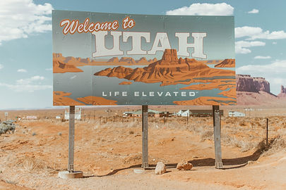 Image by Taylor Brandon
