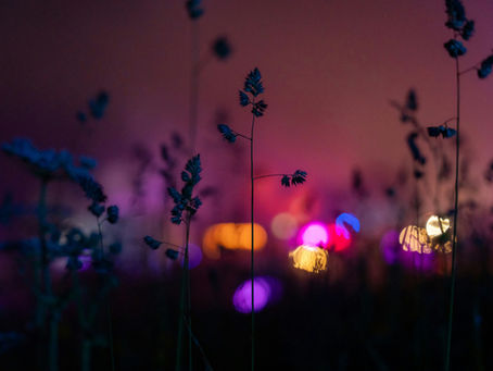 Night Nature Healing