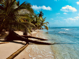 quick tropical trips from the U.S.