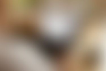 Understanding GEO and the Benefits of AI Optimisation for Websites