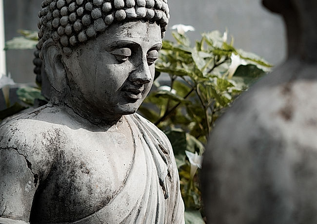 图片来源:Manas Manikoth