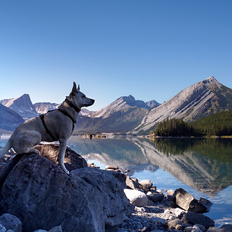 Image by Matt Forster