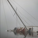 Image by Anthony Maw